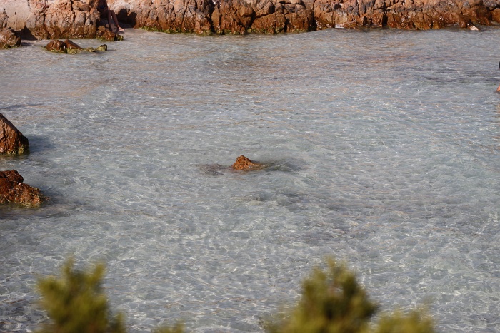 Plage du Prince - 010